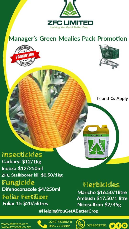 Grow your crops greener, healthier, and stronger with ZFC Green Mealies Agrochemicals and Specialty Fertilizers - the secret to a bountiful harvest!!!
#HelpingYouGetABetterCrop
