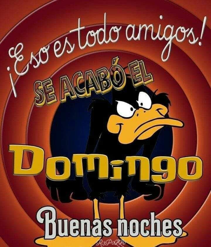 SrThoro's tweet photo. https://t.co/4dlFHZ2eq1