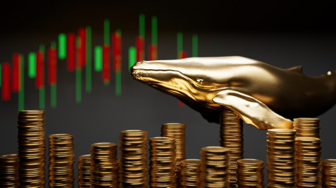 ZOLA 🌎 tweet media