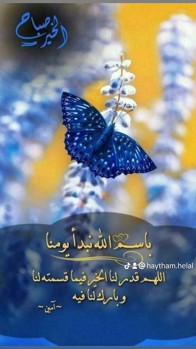 YASMIEN PERFUMES (@helalhaytham8) on Twitter photo 