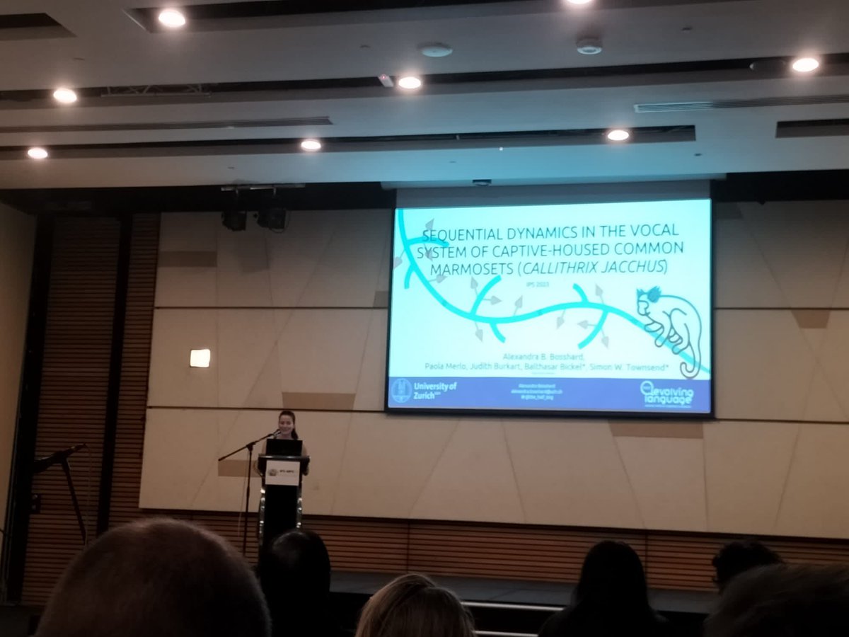 Simon W. Townsend (@simonwtownsend) on Twitter photo <a href="/the_half_ling/">Alexandra B. Bosshard</a> presenting her <a href="/NCCR_Language/">NCCR Evolving Language</a> PhD research on sequential dynamics in the marmoset vocal system #IPSKuching <a href="/the_half_ling/">Alexandra B. Bosshard</a> presenting her <a href="/NCCR_Language/">NCCR Evolving Language</a> PhD research on sequential dynamics in the marmoset vocal system #IPSKuching