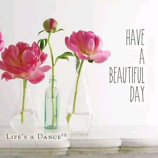 #LifeIsADance
#DanceLikeNoOneIsWatching
#Positivity  and  #Energy