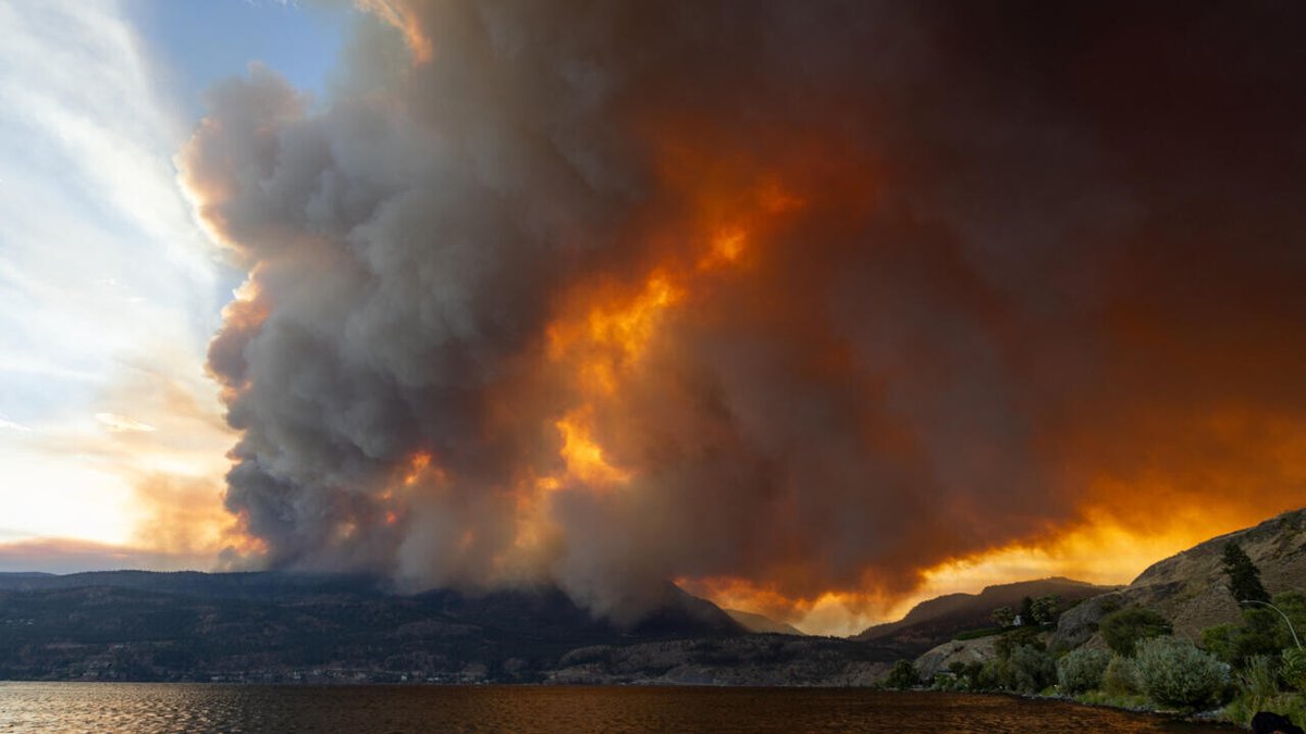 Wildfires ravaging western Canada force tens of thousands to flee ➡️ go.france24.com/WG7