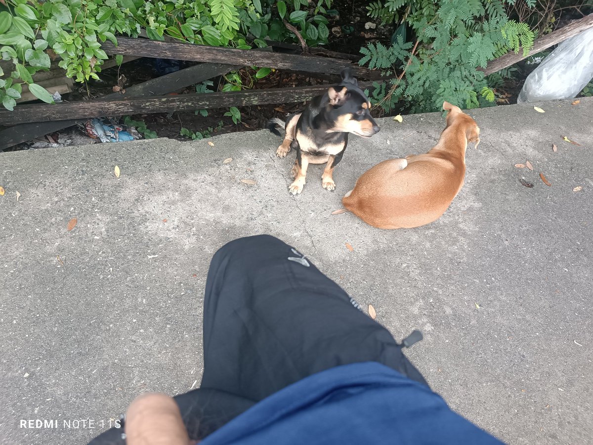Wi802Winai's tweet photo. เลัยให้ผัวหน่อย https://t.co/kBFP61xSEc