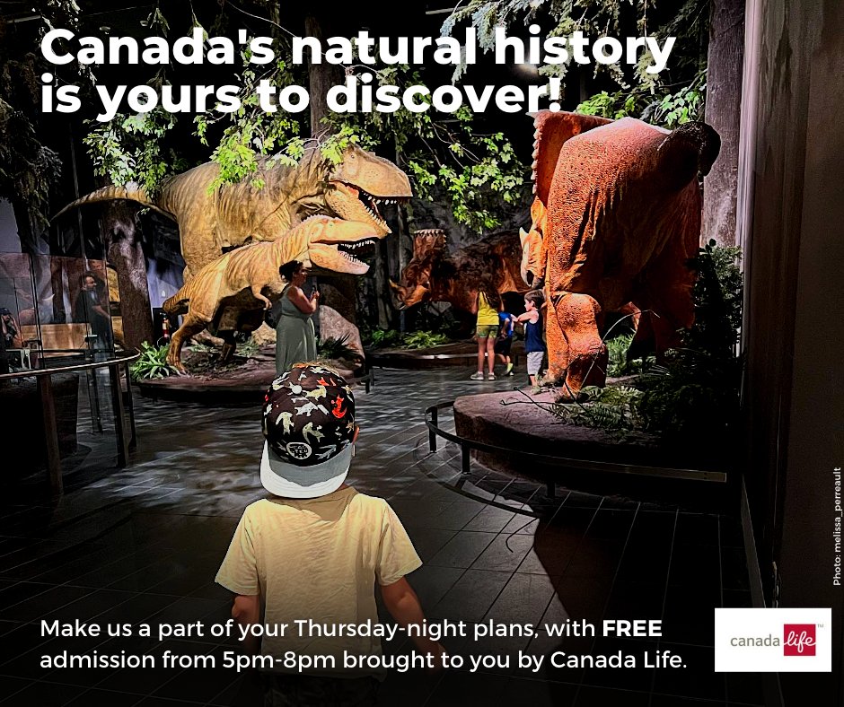 MuseumofNature's tweet photo. Make the @MuseumofNature a part of your Thursday-night plans, with ✨FREE✨ admission from 5 pm - 8 pm brought to you by @canadalifeco. Book your tickets in advance online ➡️  https://t.co/3D2T7iMGlk #MyOttawa #FreeThursdays #FreeMuseum #FreeAdmission #GetIntoNature https://t.co/J2vCWux8V5