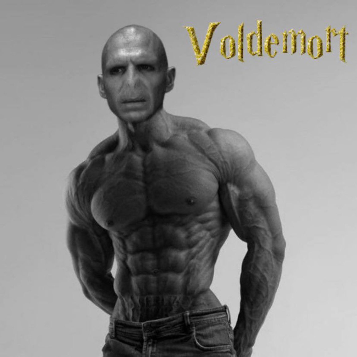 RealRosky's tweet photo. @WhizzCrypto #Voldemort its going WINGARDIUM LEVIOSA ‼️‼️ https://t.co/8HzuJ3eFeT