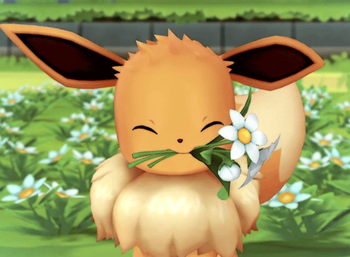 Eevee has brought you flowers ^^