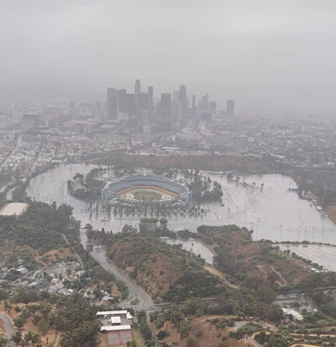 nut_history's tweet image. Wild scene at Dodger Stadium today
