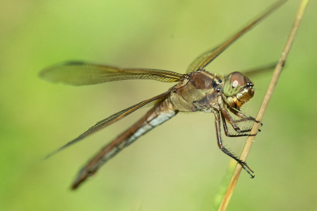 riverguy47's tweet image. Just hanging around