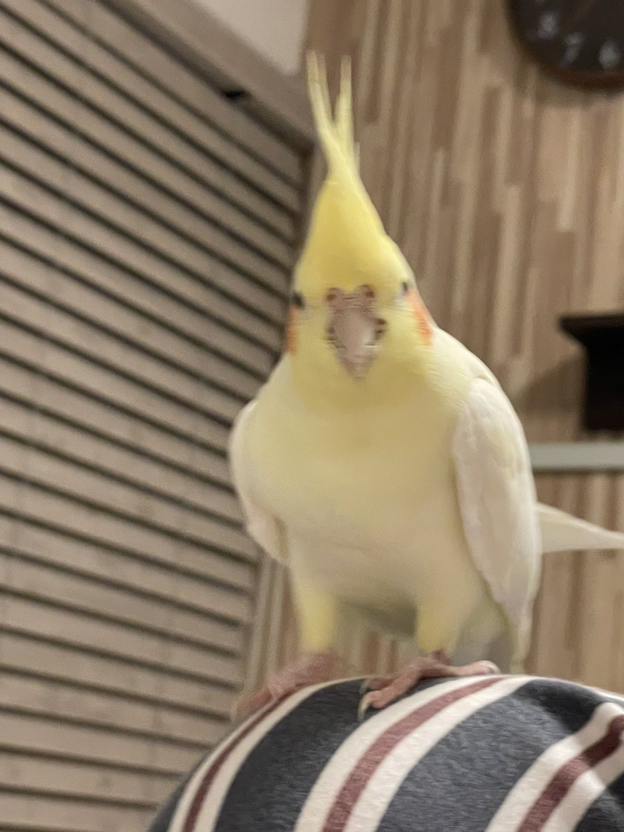 #このタグをみた人はド正面写真を貼る

髪型も決まってるでしょ
✌️