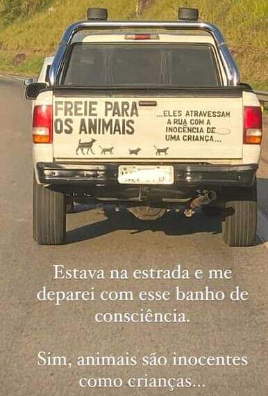 CatioroReflexiv's tweet photo. https://t.co/fV3yImwigW