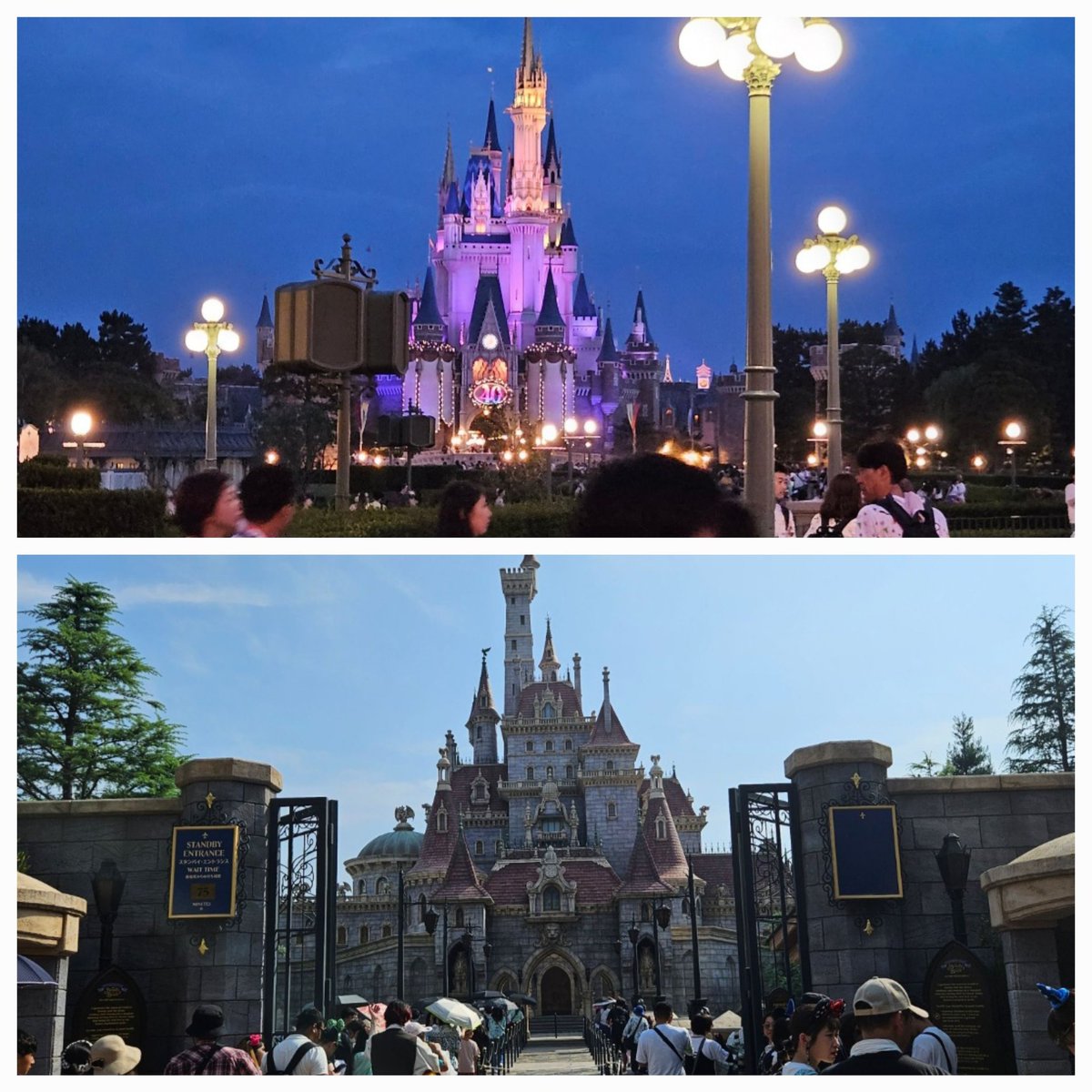 BirdPower13's tweet image. Some photos from Tokyo Disney when we went a few days ago! It was a really fun experience! 

Our flight today out of Osaka just got delayed by 8 hours, so now we have basically another day to explore!