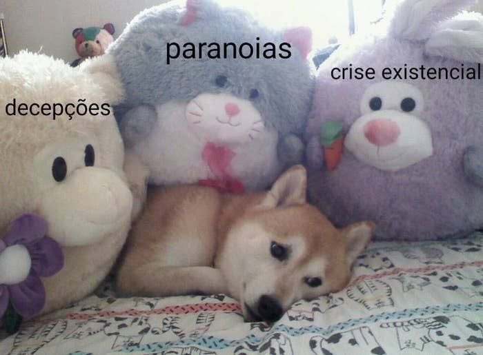 memes estranhos tweet media