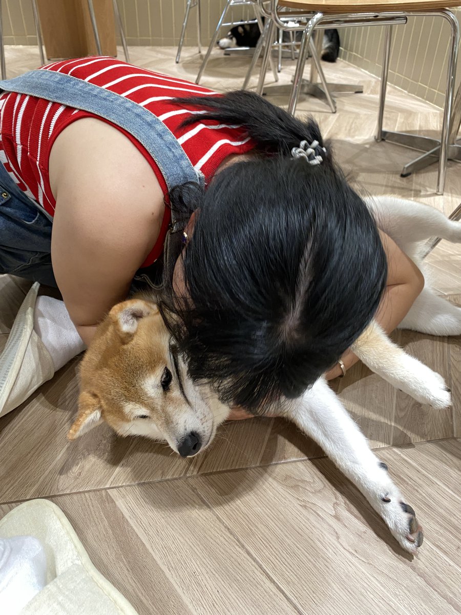 SybilChan0105 tweet picture