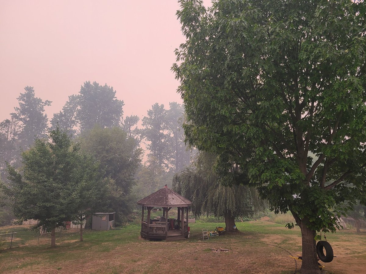 meenrz's tweet photo. Visibility in Chase today compared to a clear day. The air here is unbreathable. Heard the water bombers flying to the lake this AM and PM, not sure they can fly with conditions like this. Winds continue to be calm, thankfully.
#chasebc #shuswap #bushcreek #adamslake #firebc https://t.co/UuI2jRsVy9