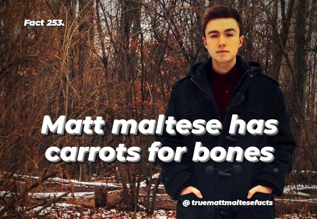 TrueMattMalteseFacts tweet media
