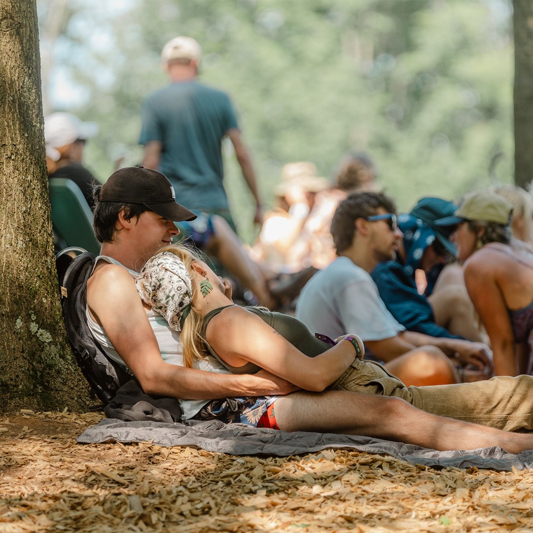 Catbird Music Festival tweet media