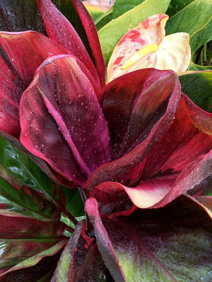 rick_redd's tweet image. Do you remember when you joined X? I do! #MyXAnniversary