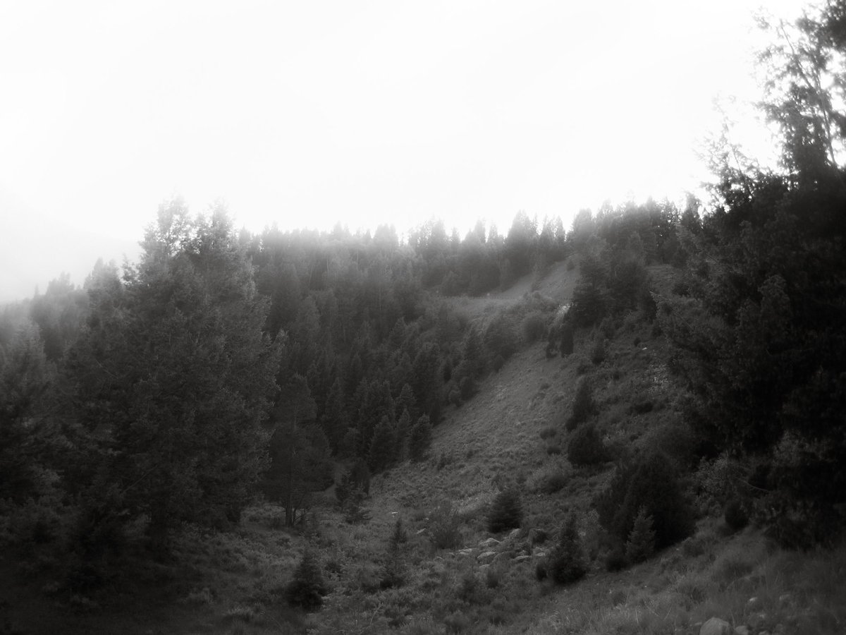 yellowstone is one of the best places i’ve been to