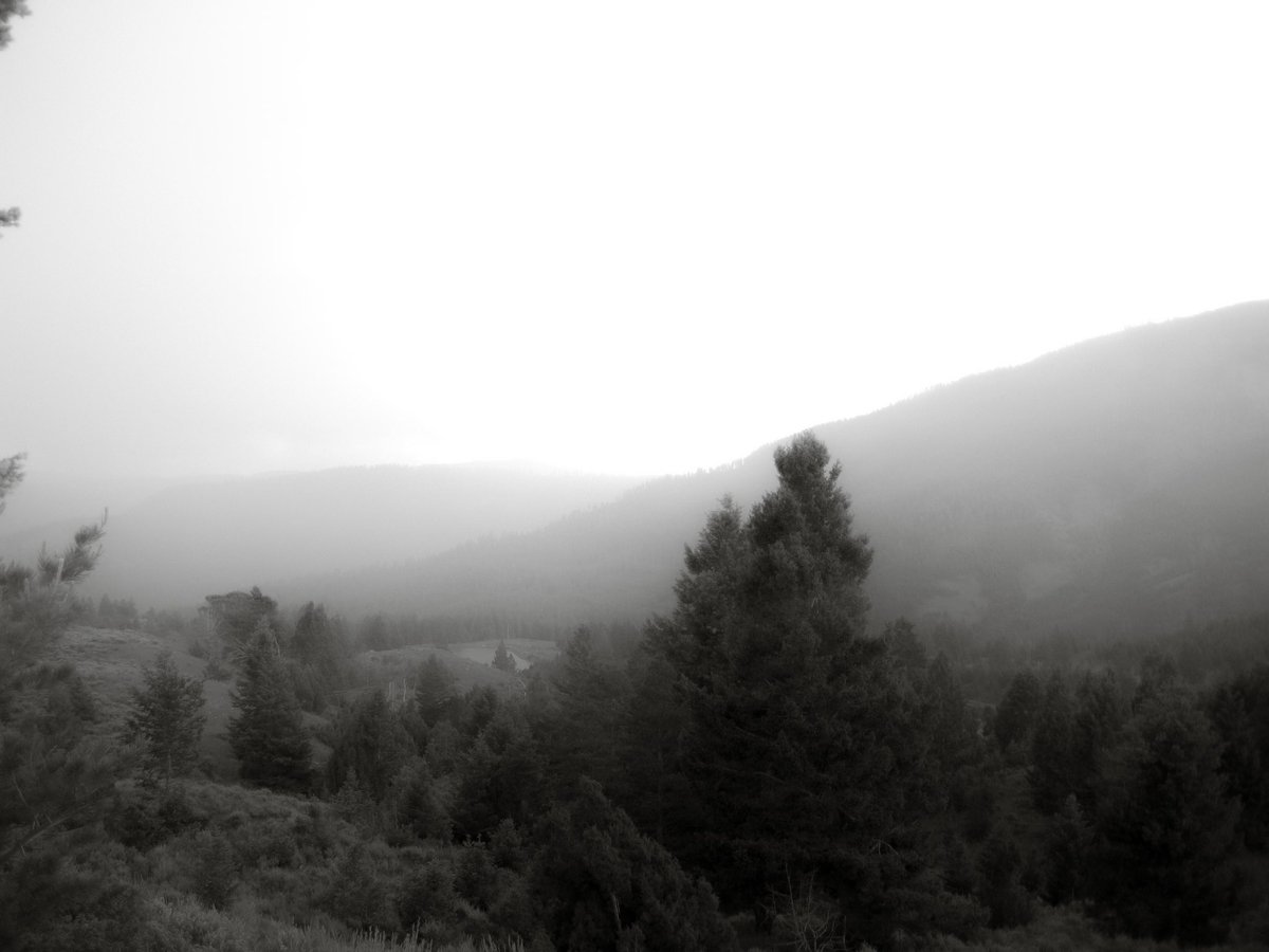 deletedimage's tweet image. yellowstone is one of the best places i’ve been to