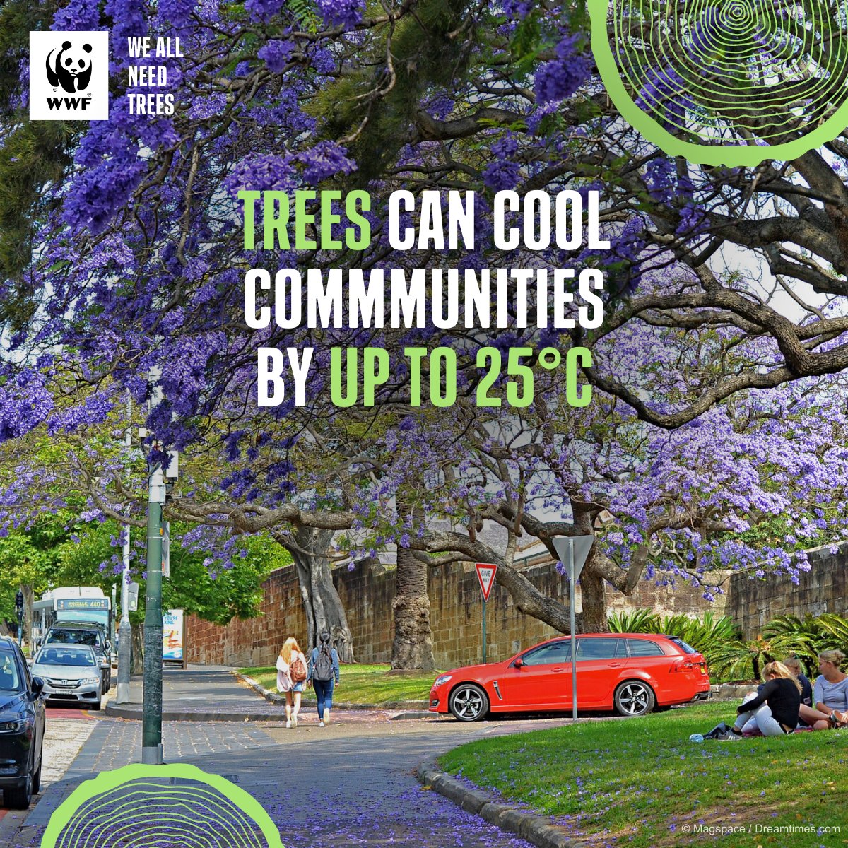 WWF_Australia's tweet photo. 🌳🌞 What’s better than being under the shade on a scorcher of a day?

#DYK, shaded surfaces can be 11-25°C cooler than peak temperatures of unshaded surfaces.

Save trees: https://t.co/LBtIAN9qDT 

#WeAllNeedTrees #RegenerateNature #Trees https://t.co/NbSPNqcyen