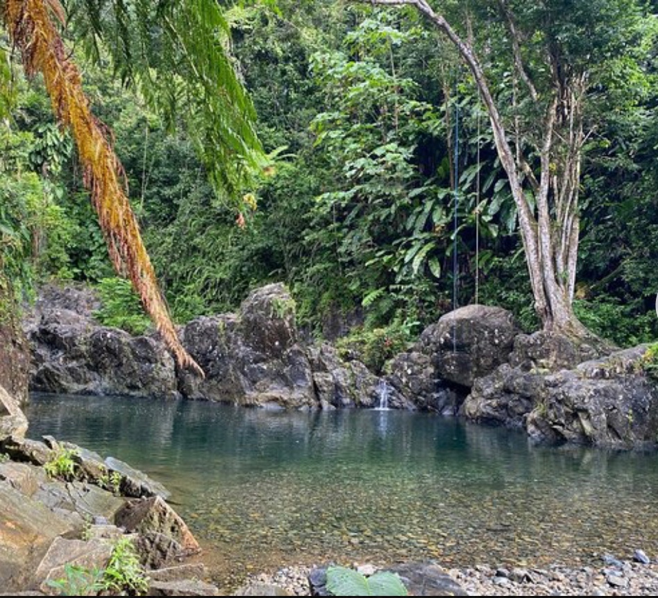 Virtual_Travel3 tweet picture