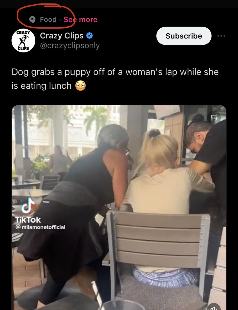 LibertarianG0th's tweet photo. @crazyclipsonly Man, this app is wrong for that!! 😂🤦🏻‍♀️ https://t.co/fdHz3aSbcD