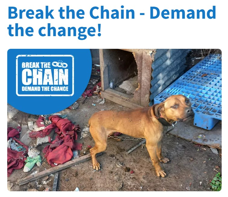 Please sign the petition and support the SPCA's plea to get chained dog regulations in place.

spca.nz/break-the-chai…