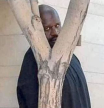 Me on <a href="/X/">X</a> spaces.