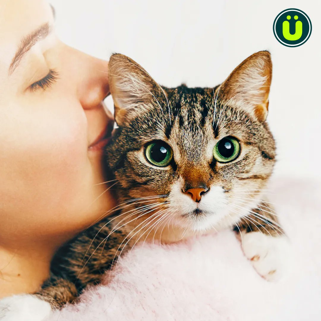 Hugging a cat or dog has been shown to reduce stress and anxiety, especially for people dealing with illness, depression, and other mental health issues