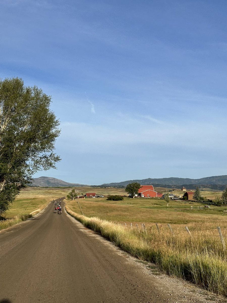 Alex Deibold tweet media