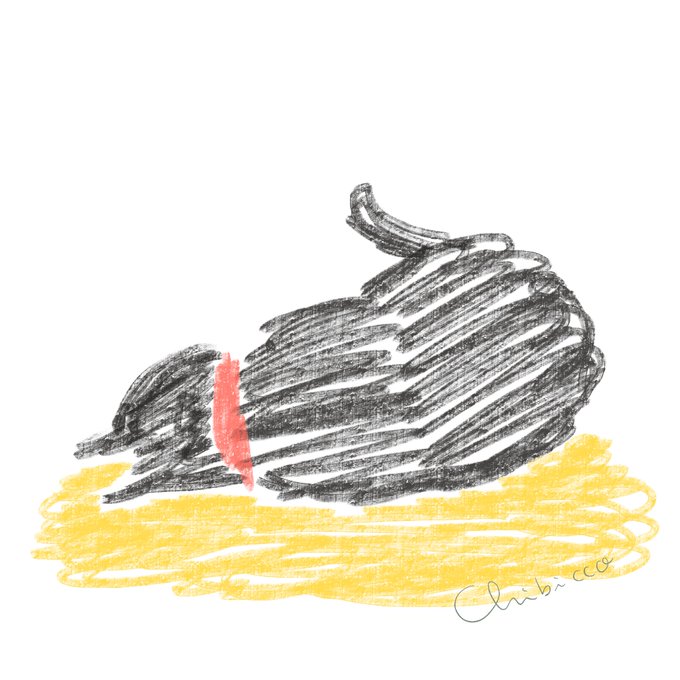 エアコンつけたら猫がきた 