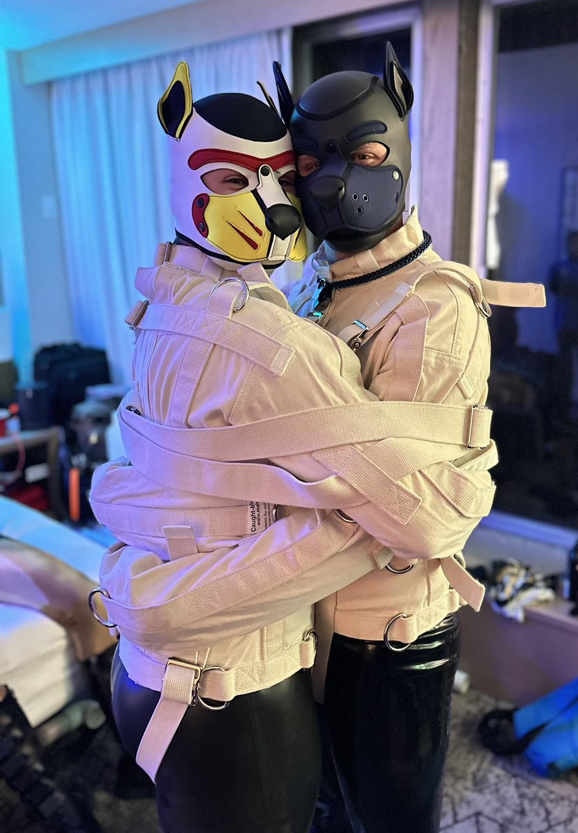 Pupper Ford tweet media