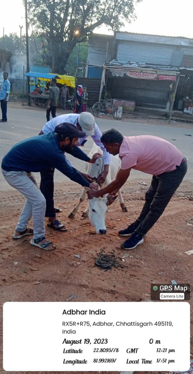 IASTripathiCG's tweet image. #MissionMode #StrayCattleMenace #CattleFreeZones #Veterinary #Tagging #RadiumBelts #AnimalWelfare @ChhattisgarhCMO @RChoubeyCG @amitabhjn @VibhagCg @GPM_DIST_CG
