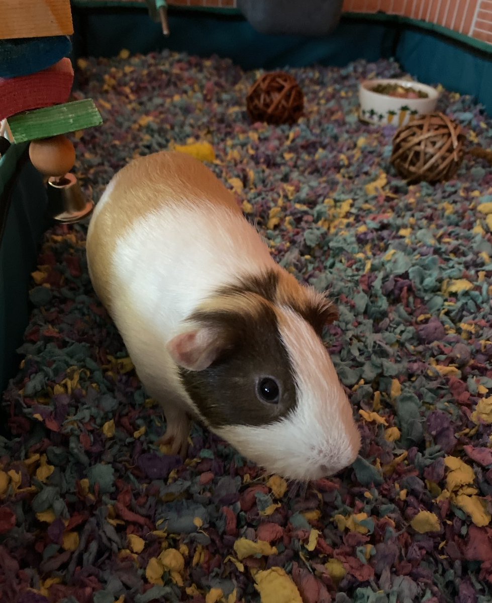 I miss my Nelly baby so much 🥺🤍