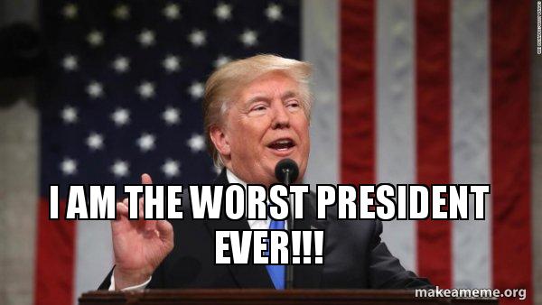 ZoeyCatBell's tweet image. 