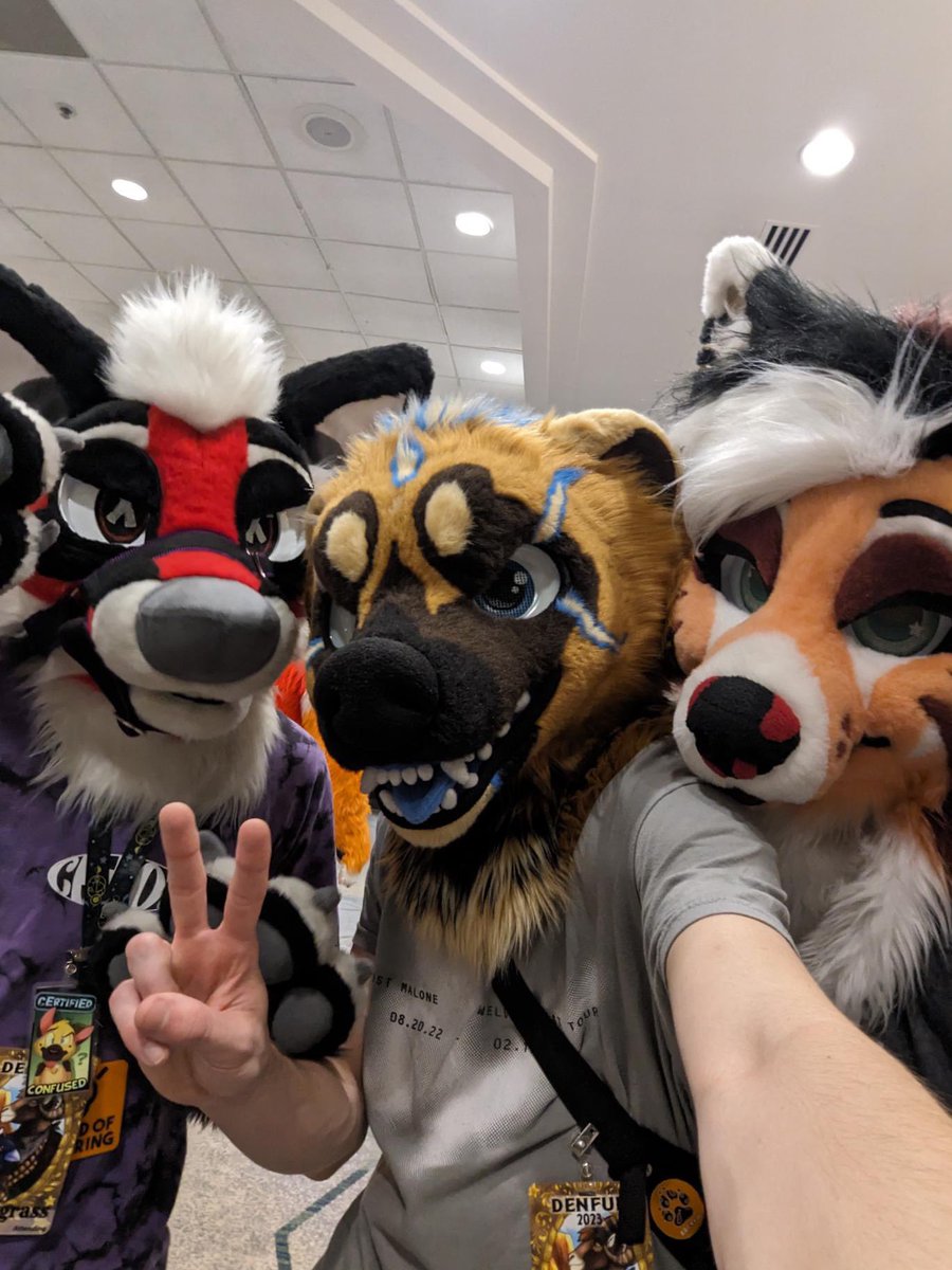 onyx2true's tweet photo. more denfur pics 🗣️ https://t.co/JtzVp5UQLR
