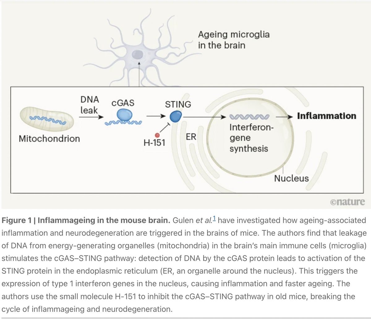 Veera Rajagopal tweet media