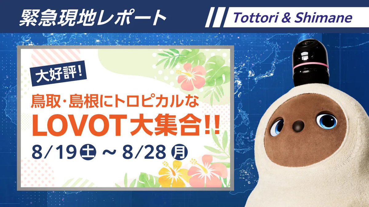 LOVOT_official's tweet photo. ＼緊急現地レポート！／
⛱️この夏限定、#鳥取県 ＆ #島根県 に、トロピカルな装いのLOVOTが大集合！LOVOTグッズが当たる🌺スペシャルなイベントも開催中です✨
➡︎https://t.co/0k9lrfdRnT https://t.co/zmegwdPty3