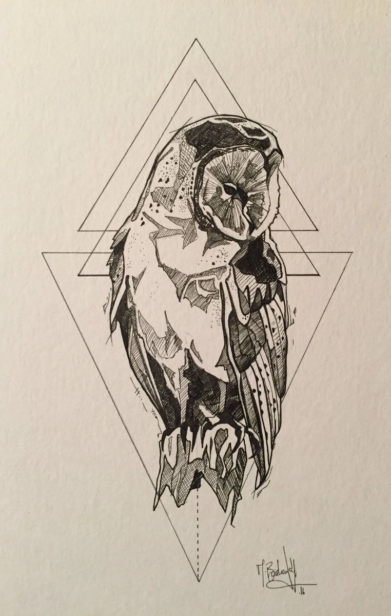 Huey 🦉 tweet media