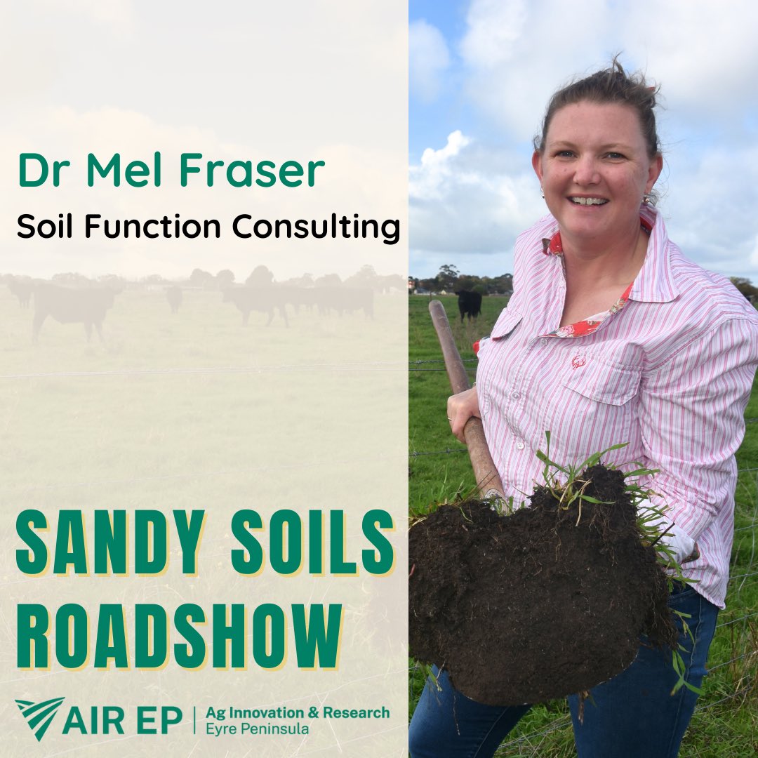 ag_eyre's tweet image. 📣Eyre Peninsula Sandy Soils Roadshow
Announcing our speaker line up. 
A series of 3 masterclasses across the EP will address how we improve productivity of our sandy ground. 
Registrations now open bit.ly/3QN704y
#FutureDroughtFund 
#EPAg