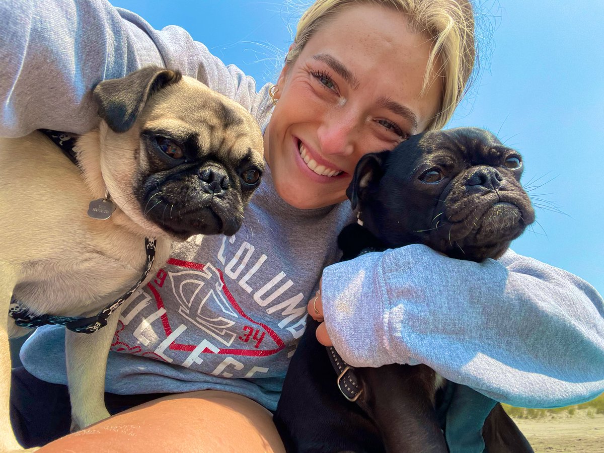 magharshaw's tweet photo. The coolest pugs in town https://t.co/eVKprqQJWK