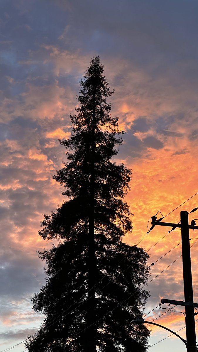 seanyodarouse's tweet photo. A #BeautifulBerkeley sunset https://t.co/9MUVfSejt6