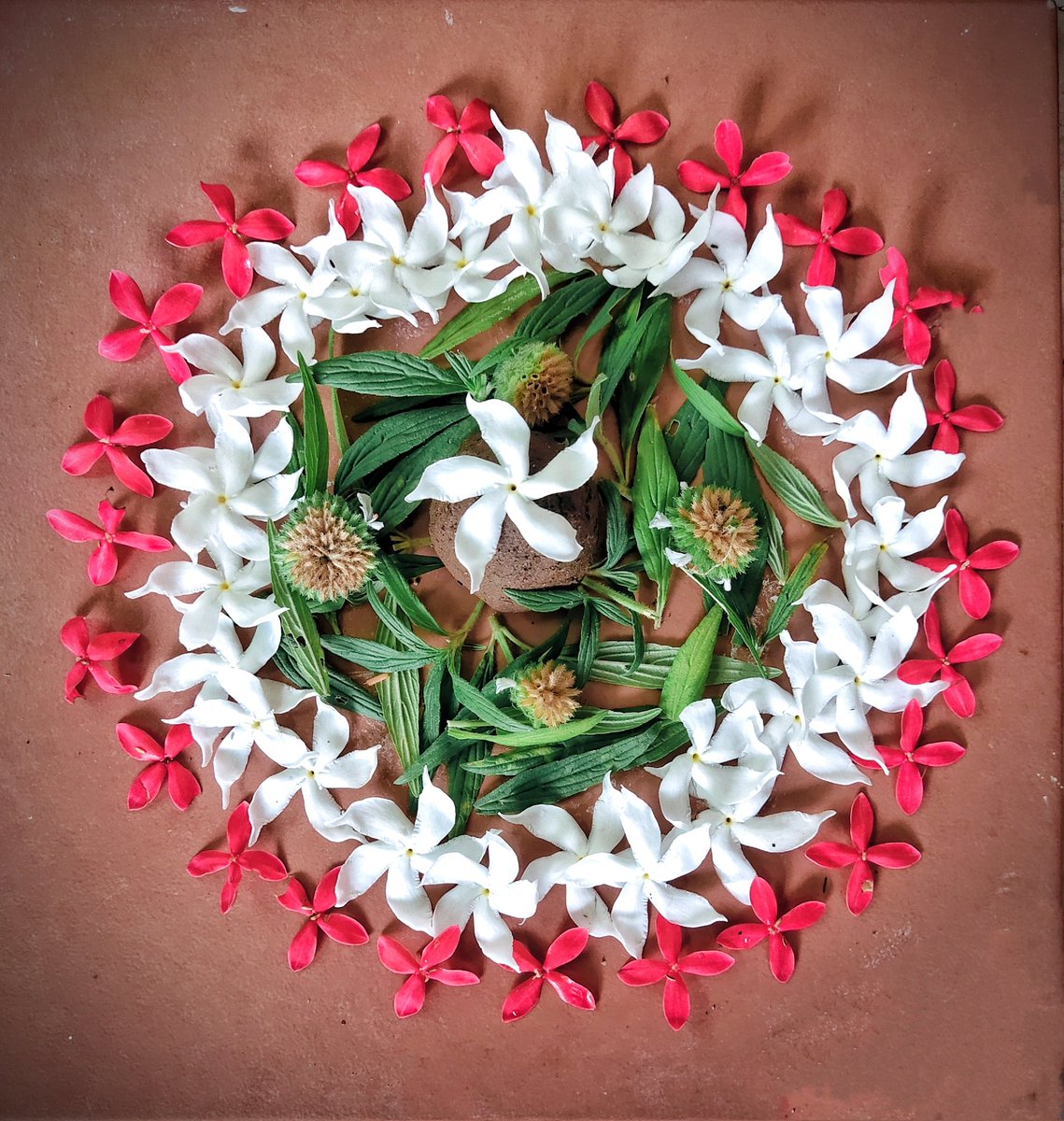 PiyuNair's tweet photo. Day 2 of #Onam
#Chithira Nakshathram Pookkalam https://t.co/xtlzfYCVge