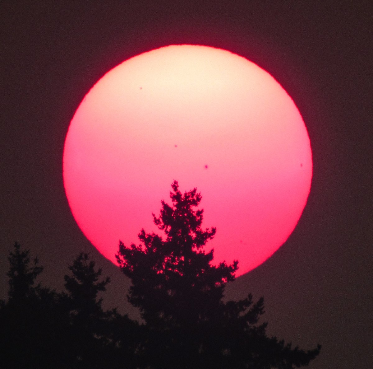NWSSeattle's tweet photo. Just an orb on the horizon for sunset tonight. And that's not dust on the camera lens. The thick smoke is making sun spots readily visible without a filter. #wawx https://t.co/Dk86n2j34y