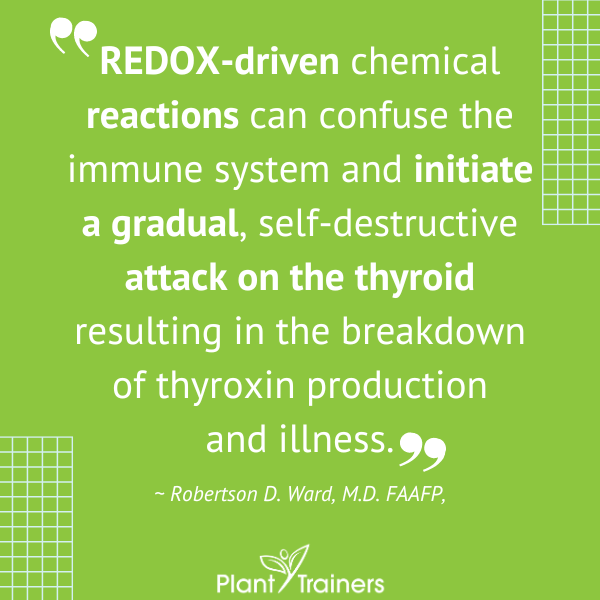 Does this hit home? 

WE can help. 

DM "THYROID" for a free consult.