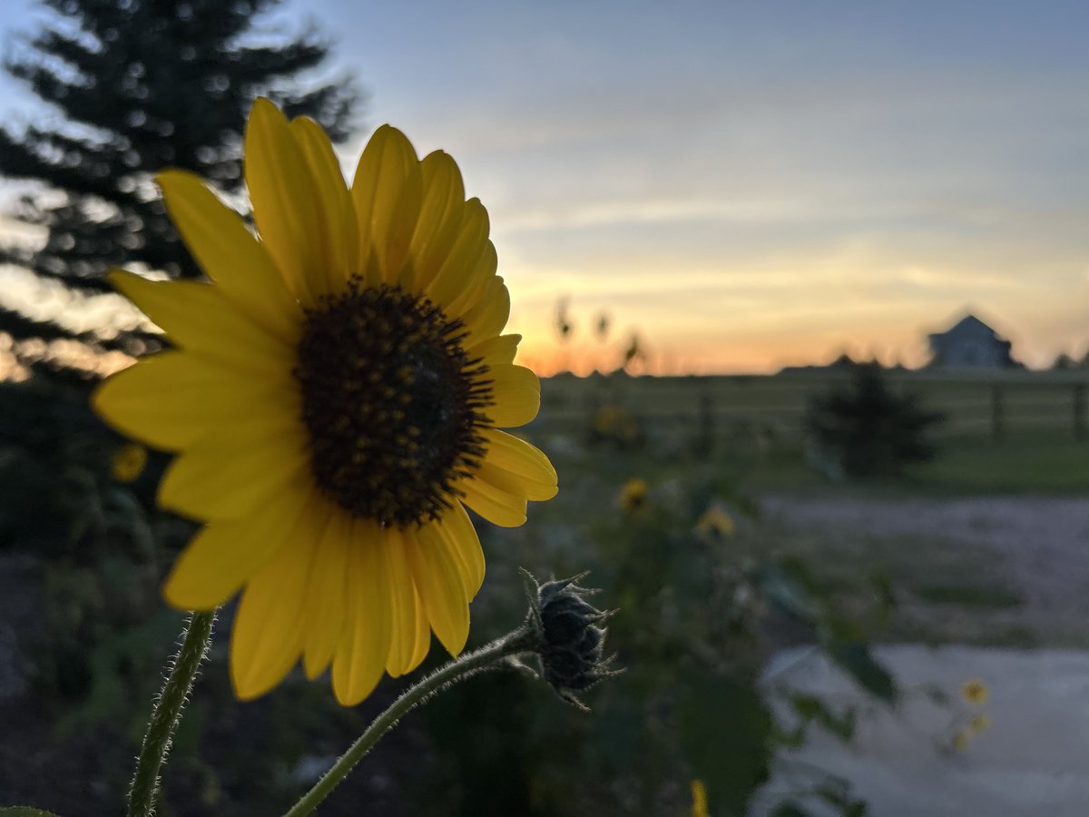 Sunset in #coloradosprings ☀️