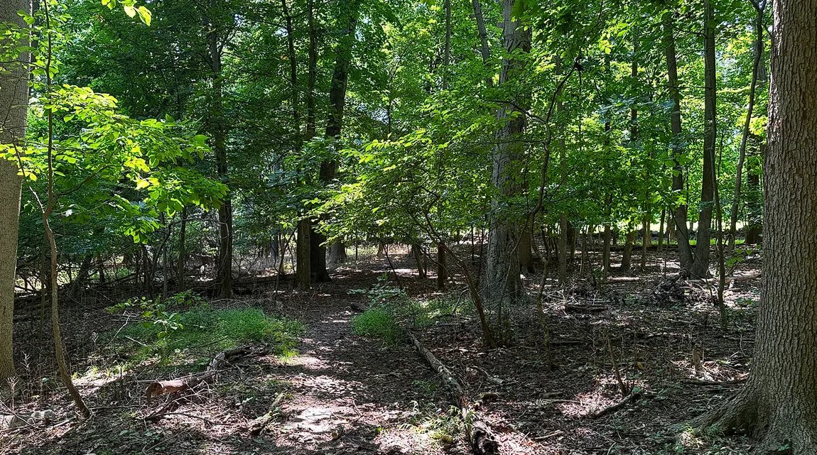 Louie Bacaj tweet media