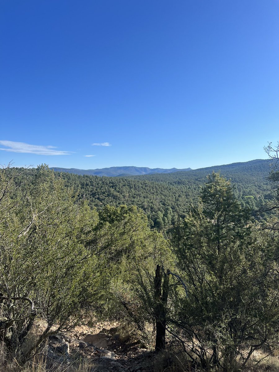 wnmu_sb's tweet photo. Last week the Gila✅
This week the Yard🥎 https://t.co/ltV7LKD2To