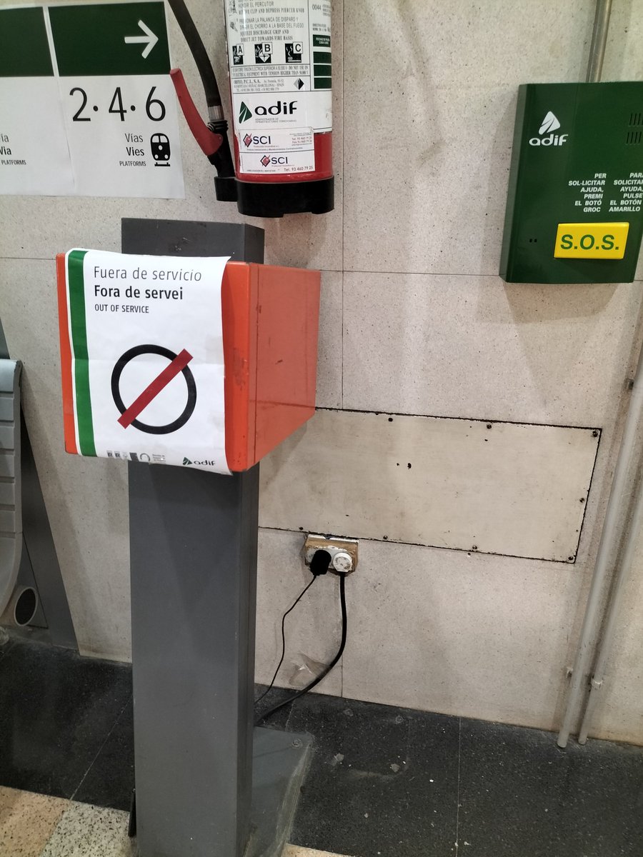 Mireia FS tweet media